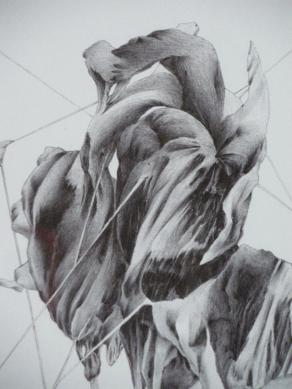 riflesso residuo - particolare