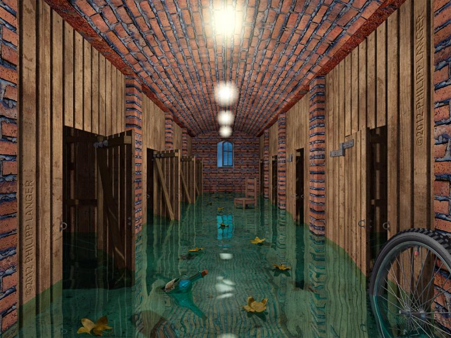 Flooded Cellar