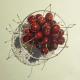 Cherries in a bowl