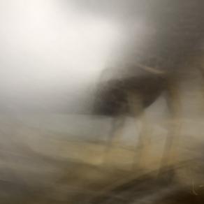 The Pencil of Nature / On the way XIV