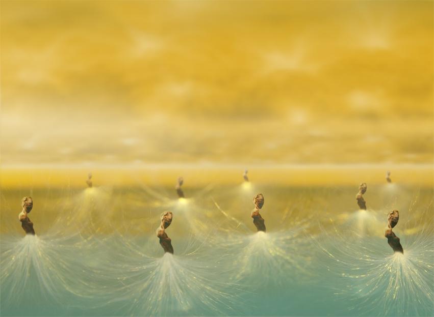 Exuviae: the drifters (TAG0044)