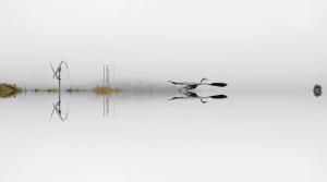 Wioleta Kaminska - And the Whole World Stops