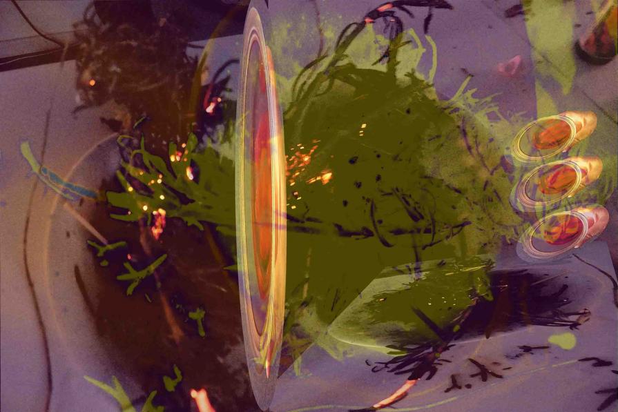 Life in Paradise, on Earth Dream, The long Legs of Love