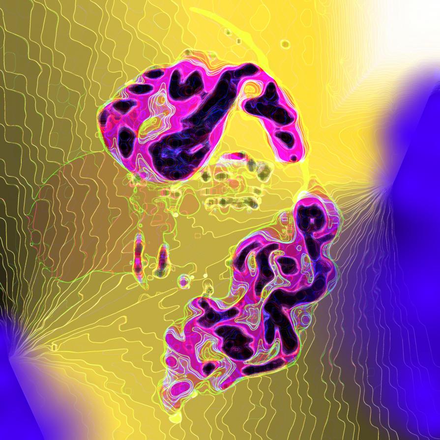 LASCIA LA PORTA SPALANCATA ALLA VITA..!!!