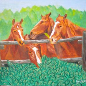 LG 0268 - Cavalli a riposo