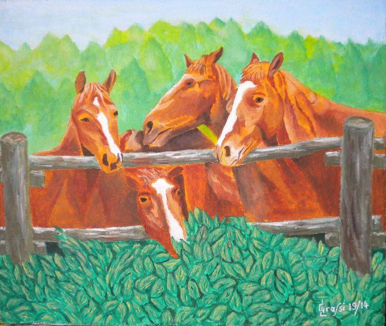 LG 0268 - Cavalli a riposo