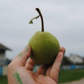 La banalità del bene