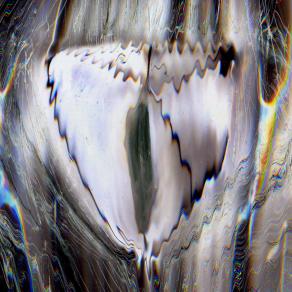 vola la patata impazzita.