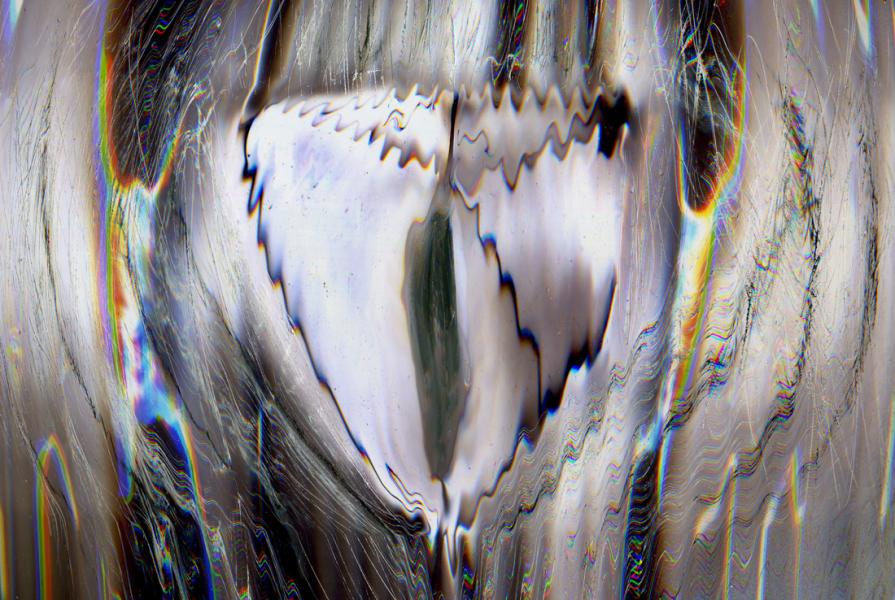 vola la patata impazzita.