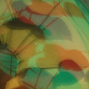 I colori della biodiversità -2015