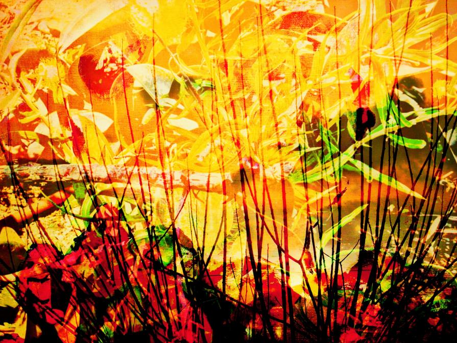 Abstract -   Photo Fusion