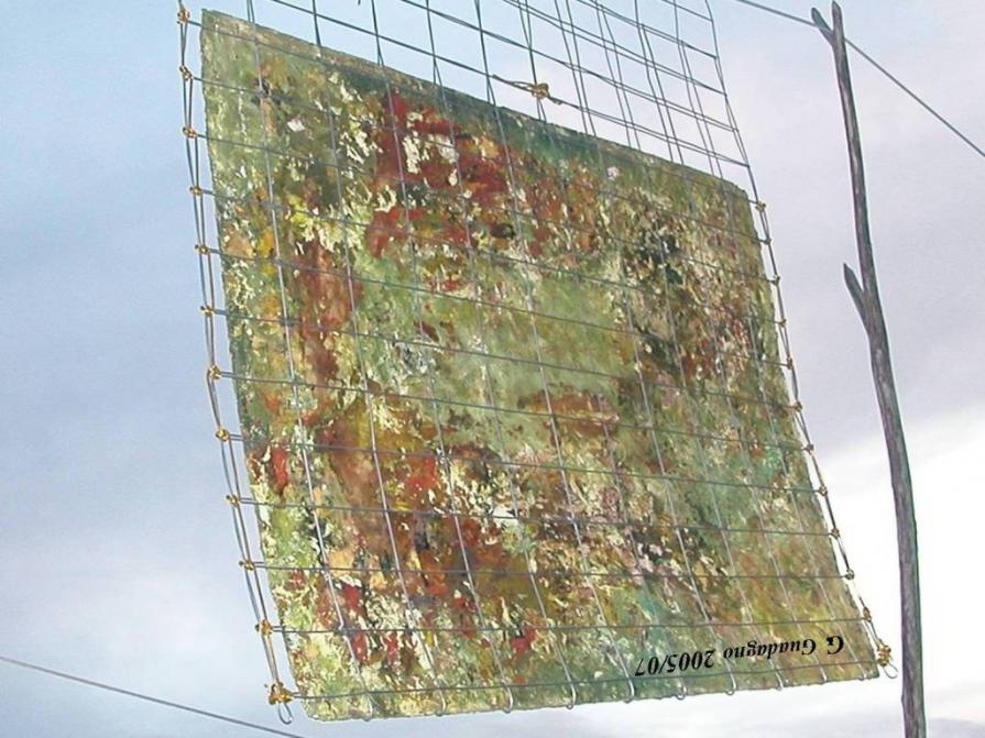 Posteritas iudicet. May V,  A. Manzoni MDCCCXXI