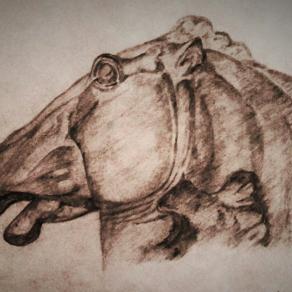 Studio per cavallo(a matita)