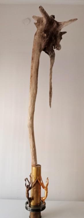 La celebrazione della guerra. Un giorno nero.