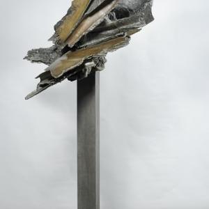 Francesco Somaini. La stagione americana Francesco Somaini. La stagione americana