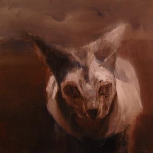 ANIMA-LI . Non credo in un’unica verità.   a cura di Annalisa Bergo