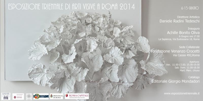 Esposizione Triennale di arti Visive a Roma 2014