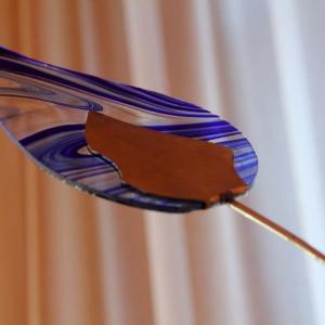 Natura:Luci e Ombre a Modena.