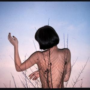 MANUELA ASSILLI  "PROIEZIONI"