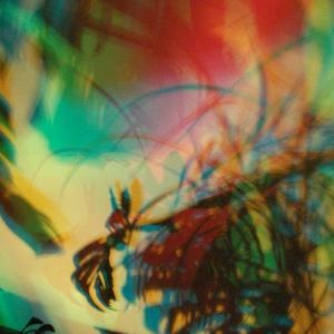 CONCORSO INTERNAZIONALE "I DAUNI"