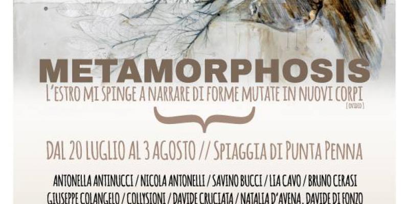 Metamorphosis - Premio Art in the Dunes - V edizione