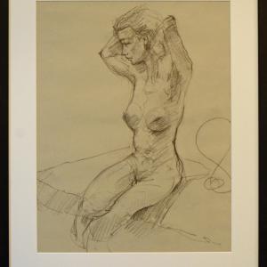 SUPREMA EFFIGIE al Palazzo Ducale di Revere (MN)