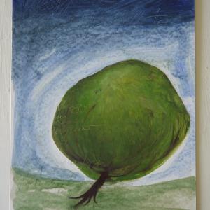 Forest Magic Mauntain