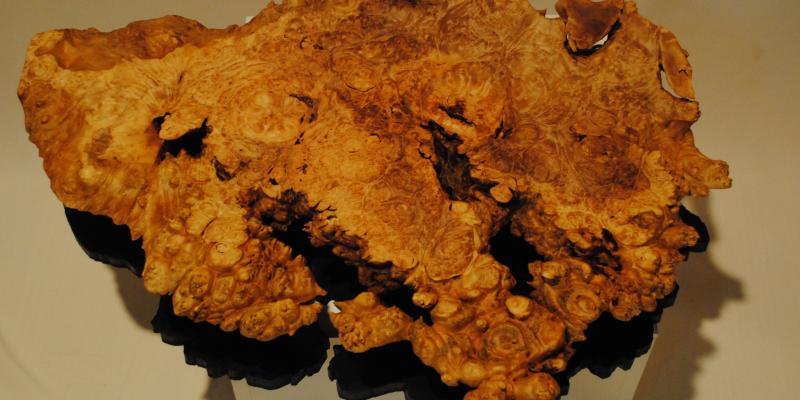 "Slice of Life" Juried Show, Station Gallery Whitby, Ontario