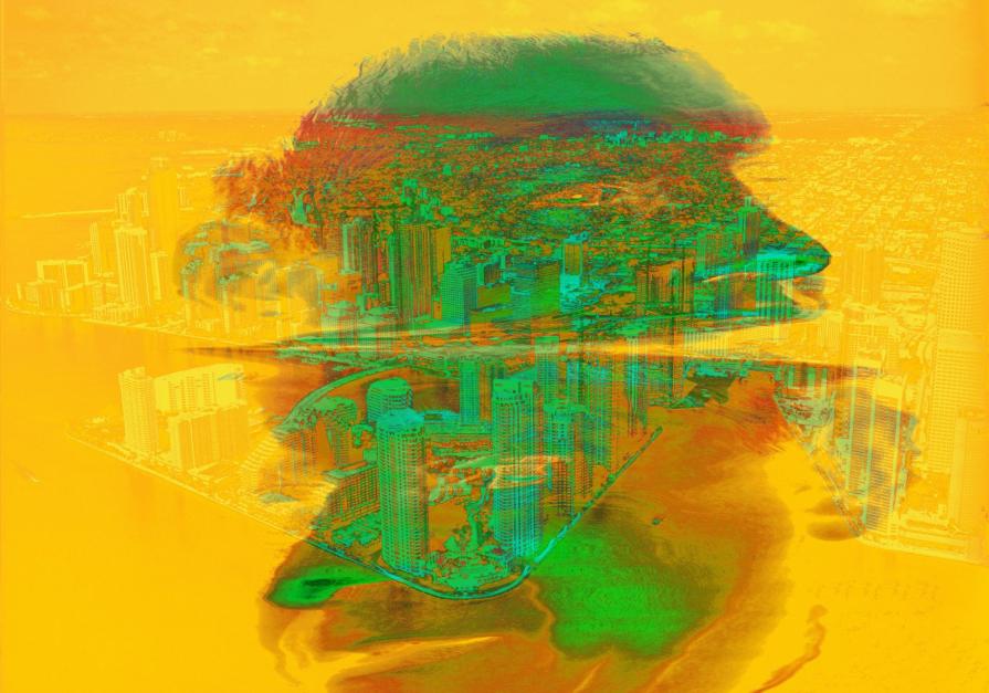 "Rammenti di New York"   2009