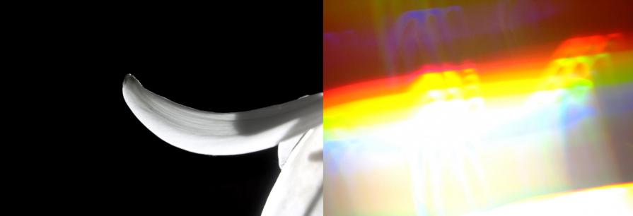 A THING of beauty is a joy for ever: