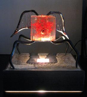 IL RAGNO DELLA PAZZIA