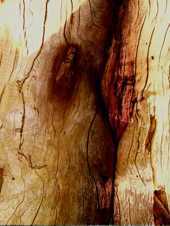 Fusioni/8/ Fusioni/8/