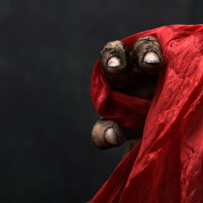 tierra y sangre tierra y sangre