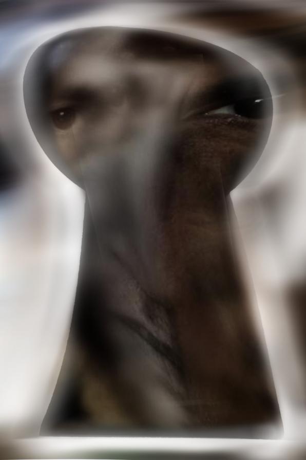 lo spione della porta accanto.