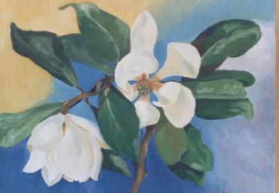 magnolia