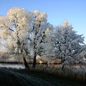 Morgenfrost 2