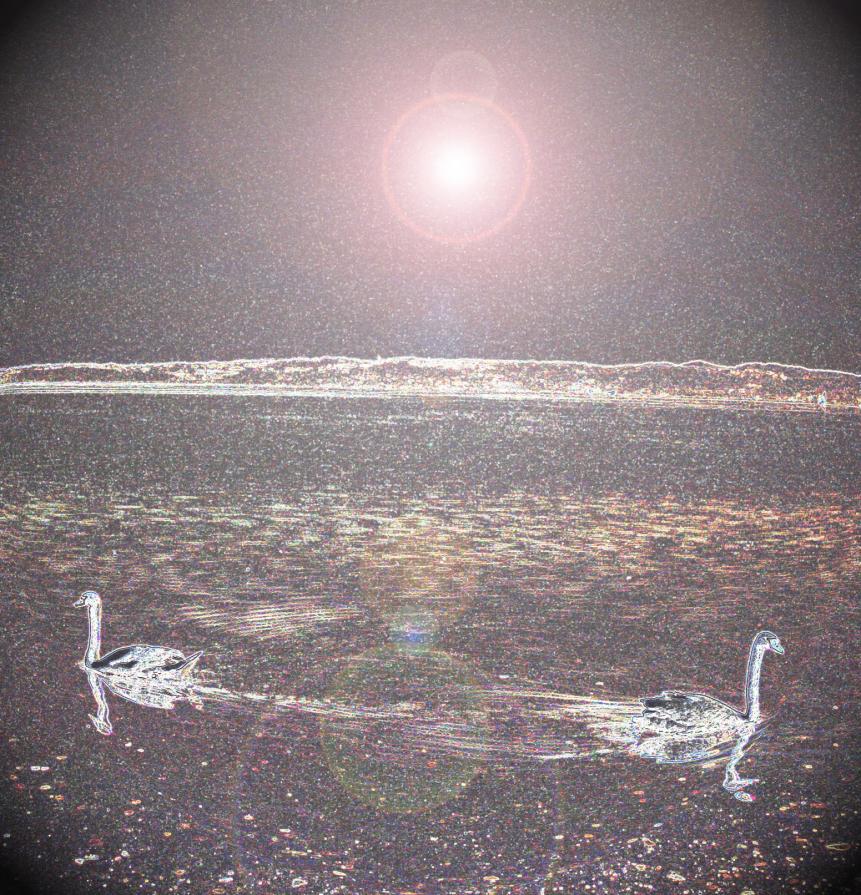 La Globalizzazione dell'indifferenza