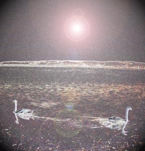 La Globalizzazione dell'indifferenza