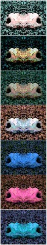 Hands Polychromatic n.1