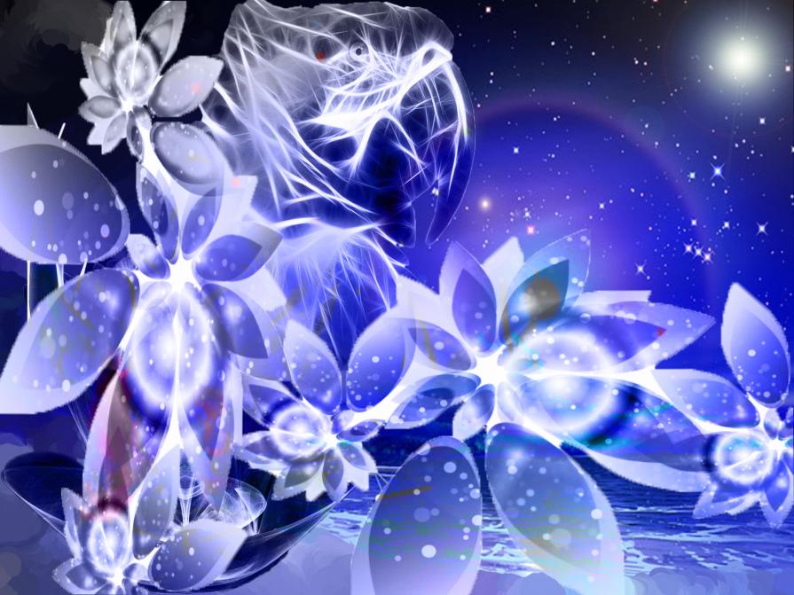 NON BISOGNA PERDERE LA CAPACITA' DI STUPIRSI PERCHE' ALTRIMENTI IL MONDO E LA NOSTRA STESSA VITA DIV