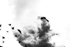 Riccardo Ventoruzzo - voli