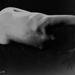 LaTestaPerdutaDi...#1