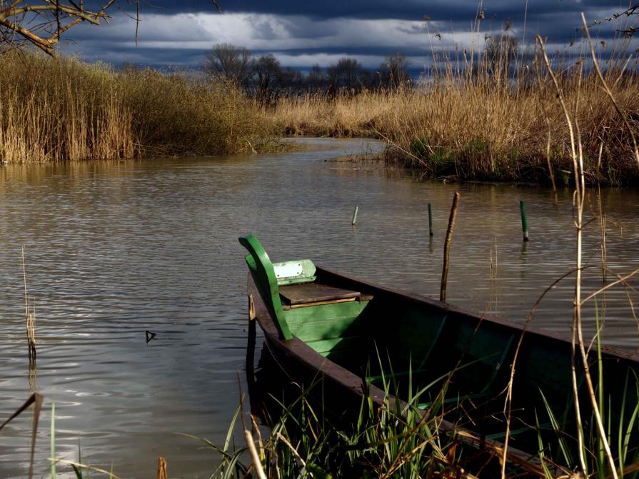 .....Lasciarsi  andare.....