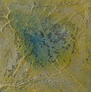 Artistic Plastic Surgery#10