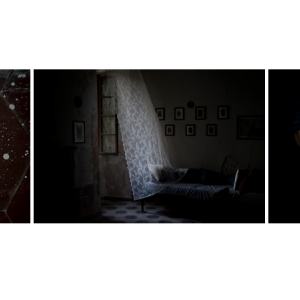 The last summer / III. La guerre 