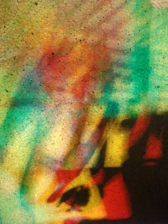 I colori della biodiversità -2015