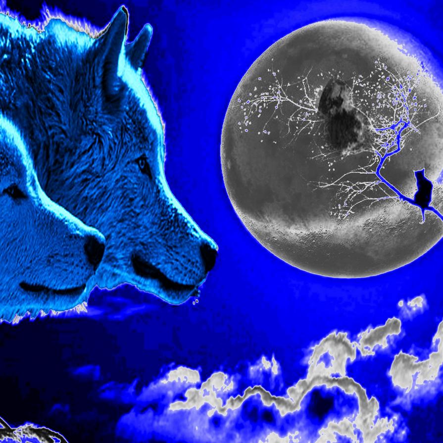 Dolce e chiara è la notte !!!!