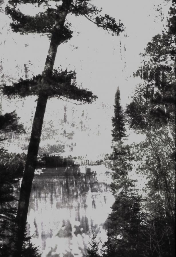 Burnt Slide in Black and white