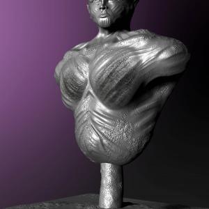 The Bust By Yacine BRINIS 2016 View 09