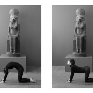 We-fit, 2014 cat-cow posture by Sabine Gottfried